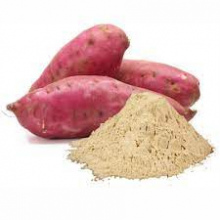 FARINHA DE BATATA DOCE (100g)